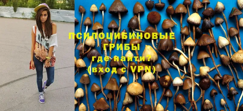 Галлюциногенные грибы MAGIC MUSHROOMS  MEGA как войти  Зеленогорск 